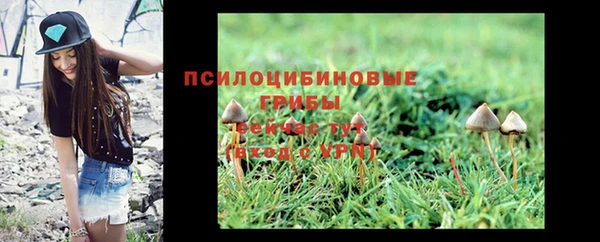 твердый Краснотурьинск