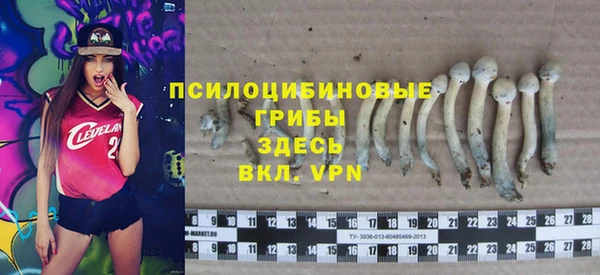 ALPHA PVP Краснослободск