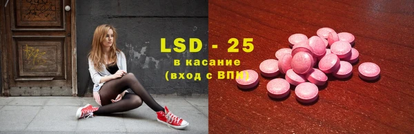 прущие грибы Красноперекопск