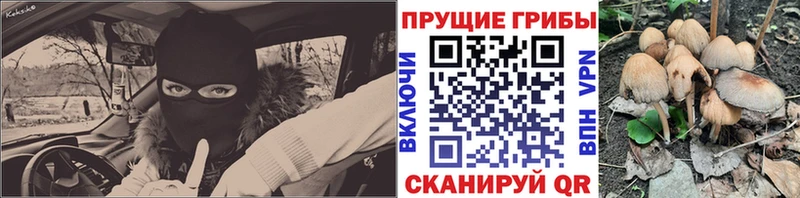 Купить где Пугачёв Галлюциногенные грибы Magic Shrooms